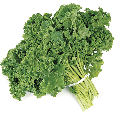 Kale Green 24s Full Case (Premium Quality) - Producecart