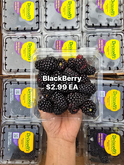 Blackberry Pint (Promo) (Ea)