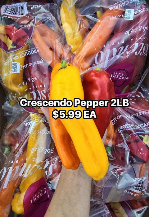 Crescendo Pepper 2LB (Promo) (EA)