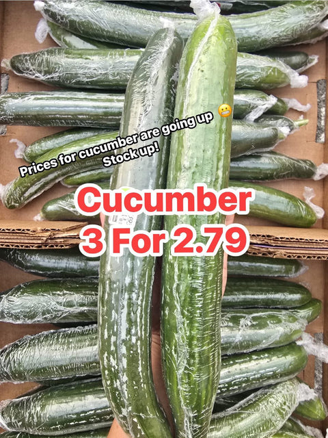 Cucumber Long English (Promo) (Caselot)