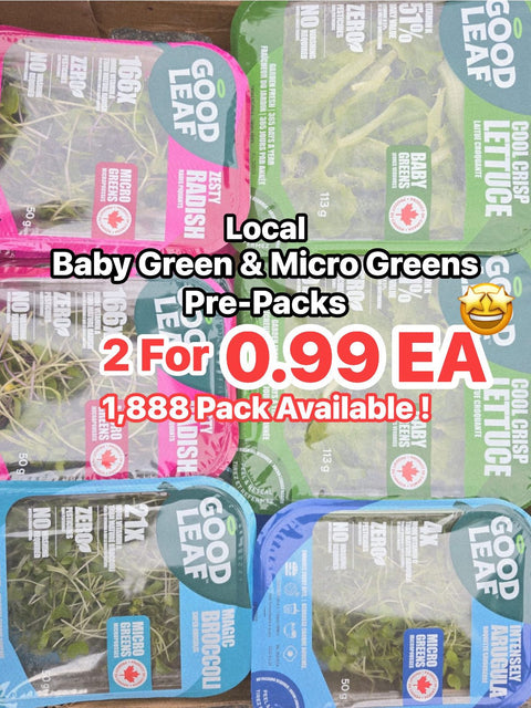 Baby Green & Micro Greens 8Packs (CaseLot)