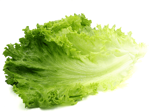 Lettuce Green Leaf 24s Full Case (Premium Quality) - Producecart