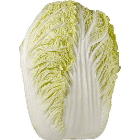 Cabbage Napa (LB) (No.1 Grade) - Producecart