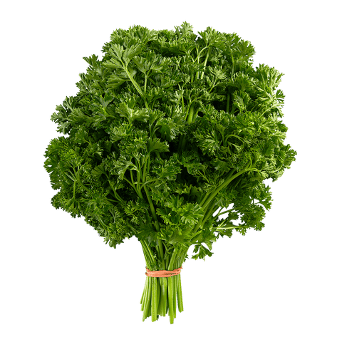 Parsley Curly (EA) (No.1 Grade) - Producecart