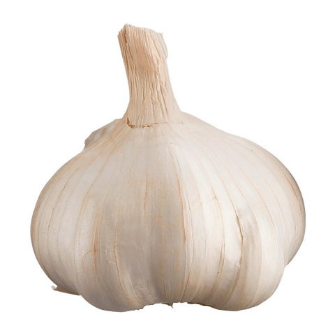 Garlic Organic USA (LB) (No.1 Grade) - Producecart