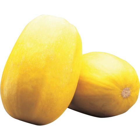 Squash Spaghetti (LB) (No.1 Grade) - Producecart