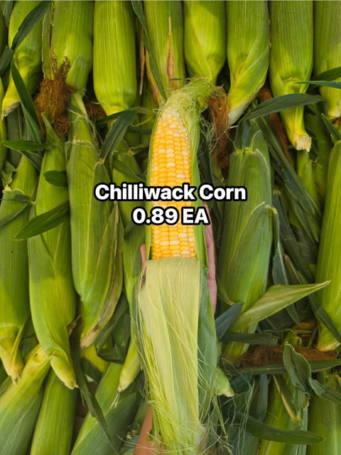 Corn 12Dz (Case Lot) (Promo)