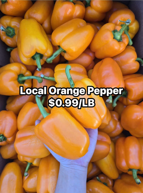 Orange Pepper 25LB (CaseLot)