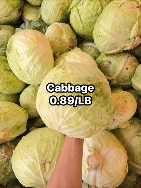 Cabbage 45LB (CaseLot)