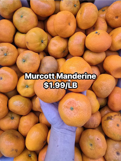 Murcott Mandarine (LB)
