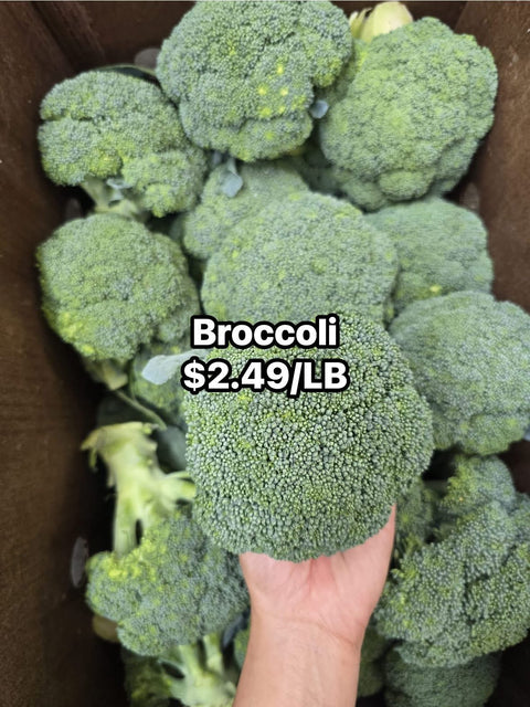 Broccoli PROMO (LB)