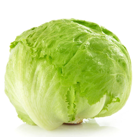 Lettuce Iceberg 24s Full Case (Premium Quality) - Producecart