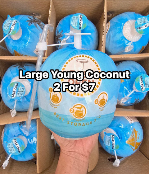 Young Coconut W/Straw 9Pack (CaseLot)