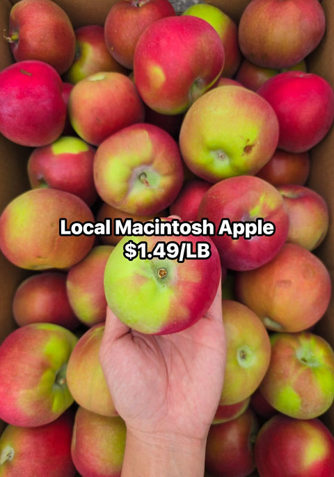 Macintosh Apple Local (Promo) (LB)