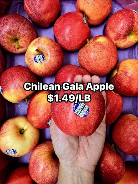 Gala Apple Chilean (Promo)(LB)