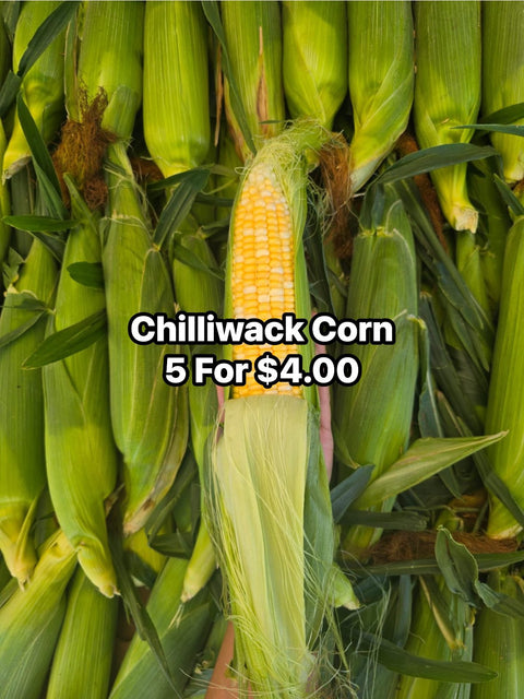 Corn Chilliwack (Promo) (EA)