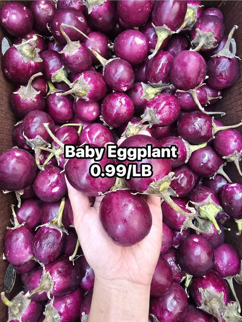 Eggplant Baby (Promo)