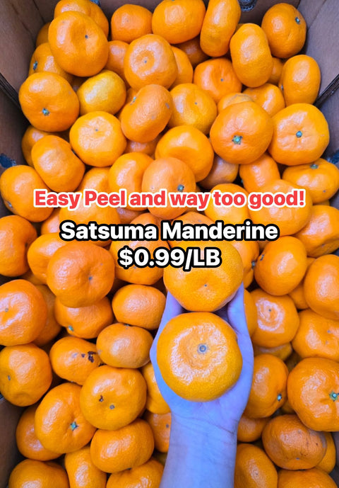 Satsuma Manderine 33-35LB (Promo) (Caselot)