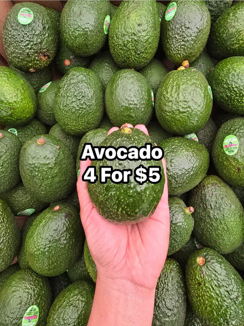 Avocado 70s (CaseLot)