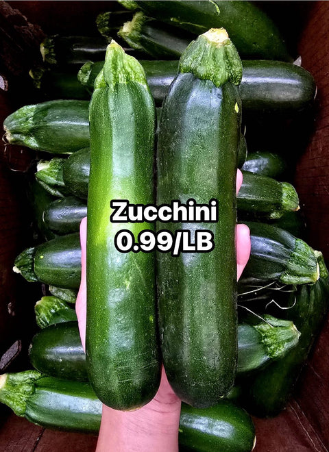 Zucchini  (Promo) (LB)
