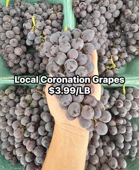 Coronation Grape (Promo) (LB)