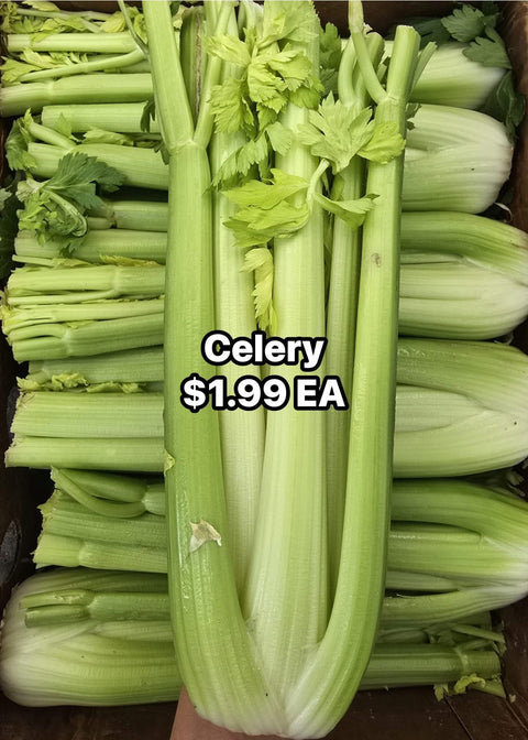 Celery 24CT (CaseLot)