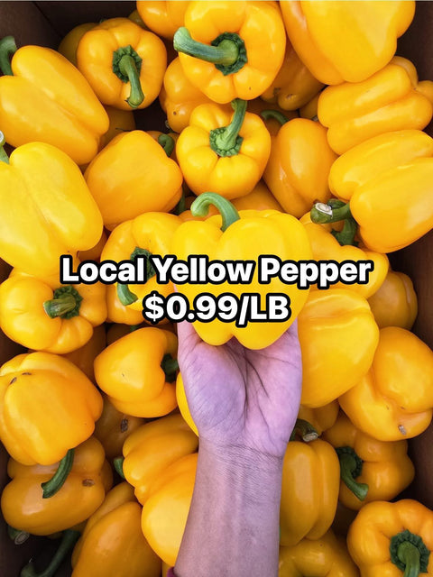 Yellow Pepper 25LB (CaseLot)