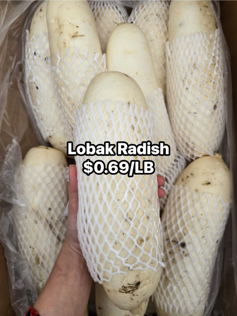 Lobak (Promo) (LB)