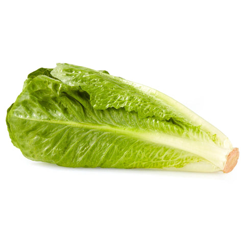 Lettuce Romaine 24s Full Case (Premium Quality) - Producecart