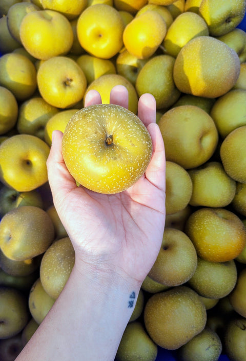 Asian Pear (Promo)(LB)