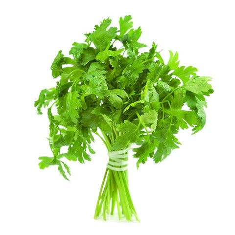 Parsley Italian (EA) (No.1 Grade) - Producecart