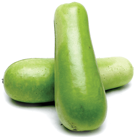Squash Opo (LB) (No.1 Grade) - Producecart