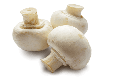Mushroom White (LB) (No.1 Grade) - Producecart