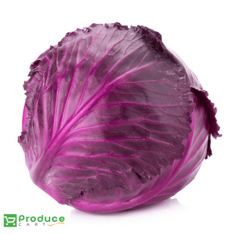 Cabbage Red freeshipping - producecartbc