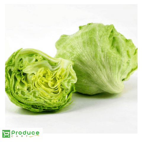 Lettuce Iceberg  No.2 freeshipping - producecartbc